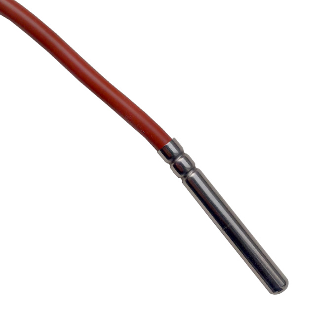 PT100 Probe